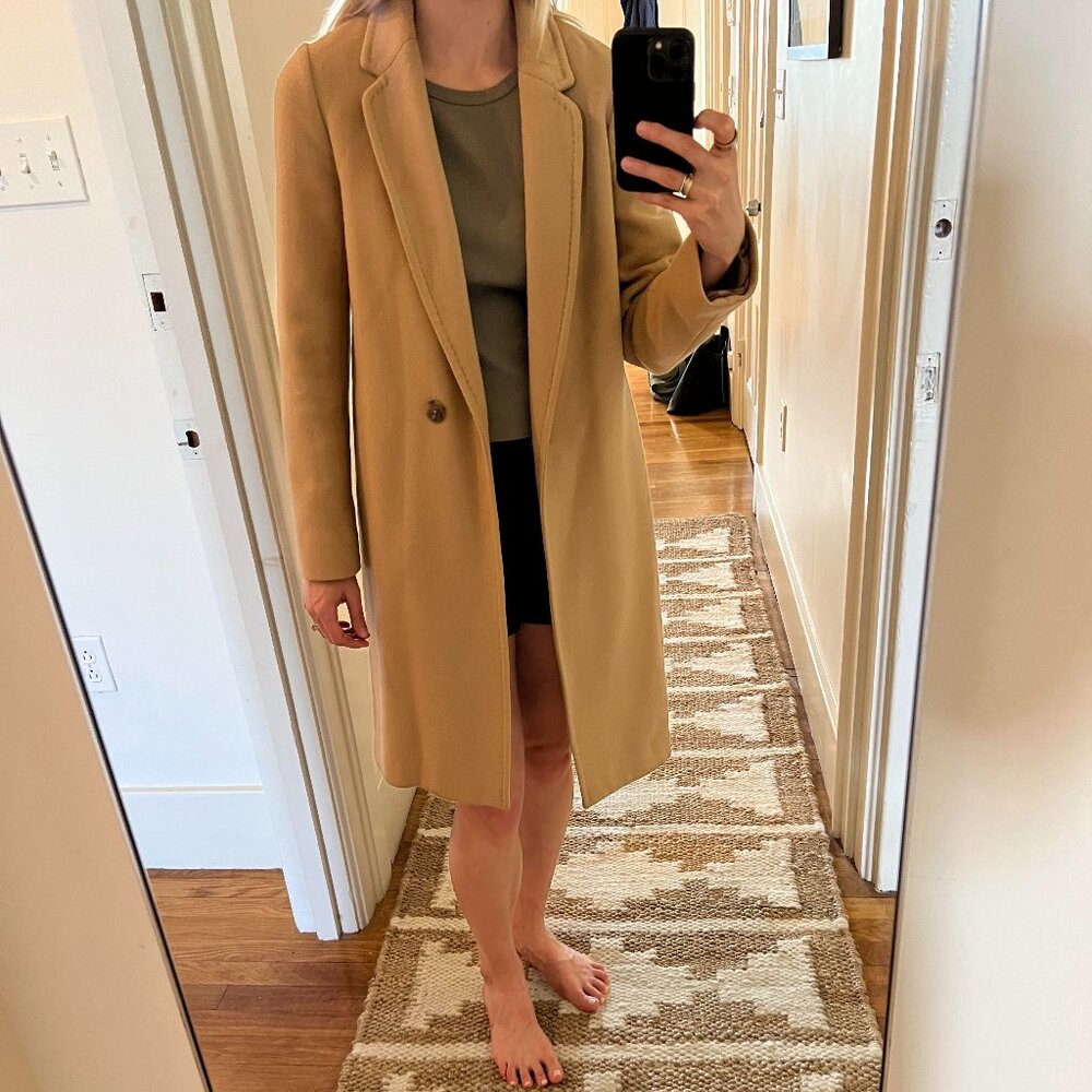 Aritzia Wool Coat
